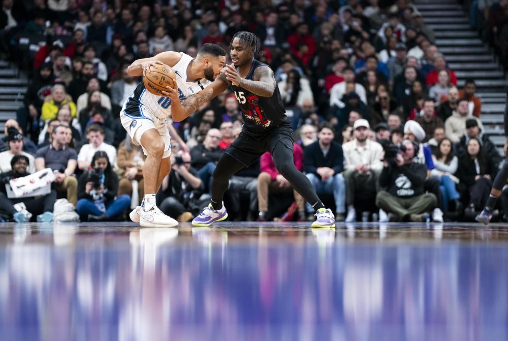 己的辉煌篇 己的辉煌篇